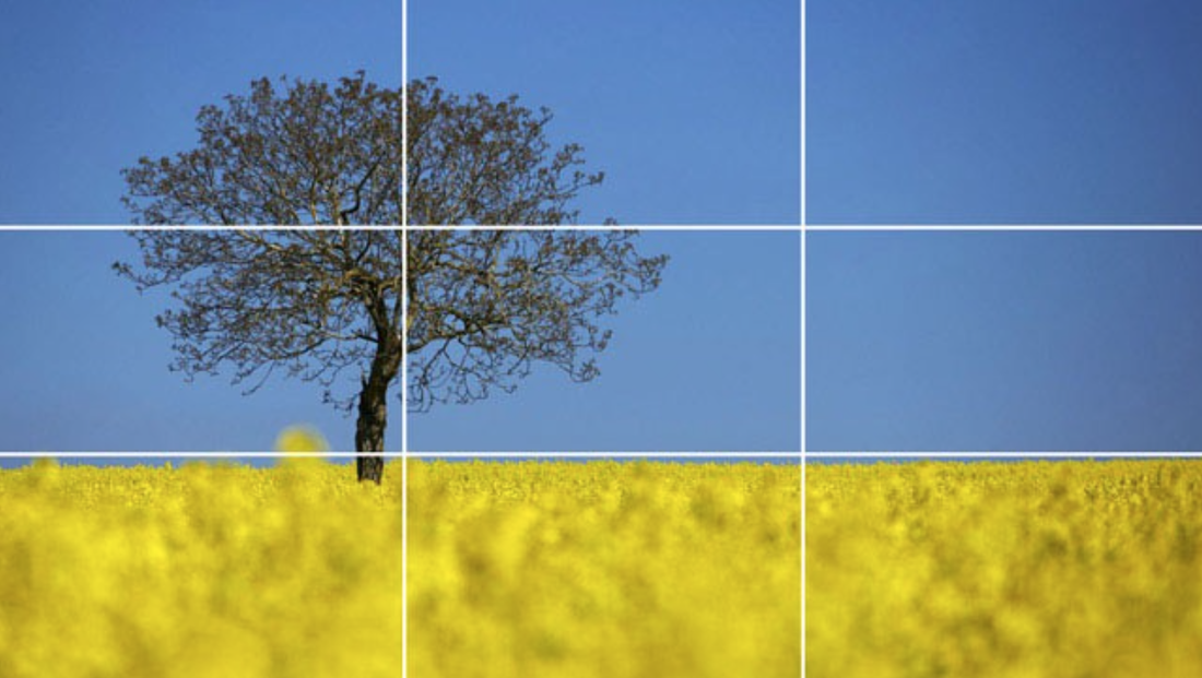 Level 2 Rule of Thirds